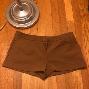 Brown Express Polyester Shorts
